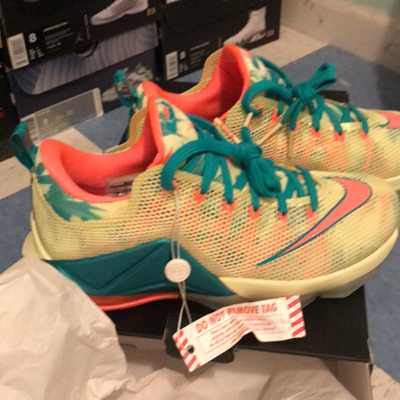 Lebrons - Picture 4 of 4